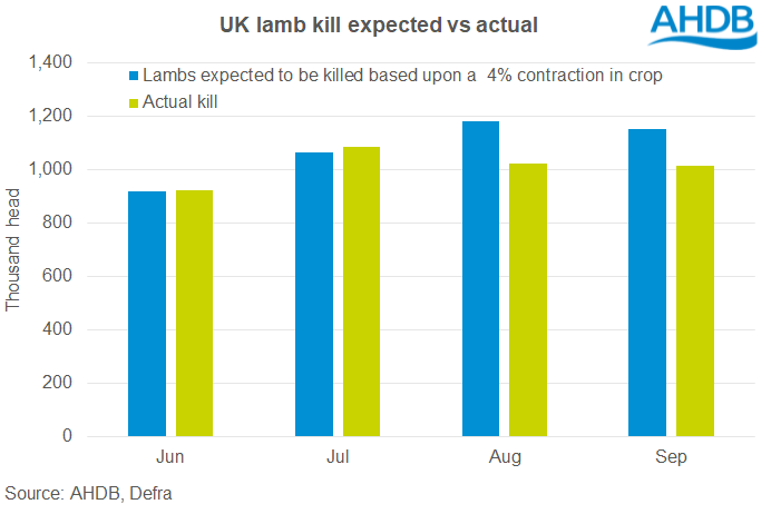 Chart showing UK lower lamb kill 